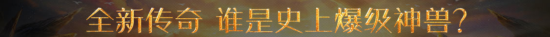 外汇网股票管理